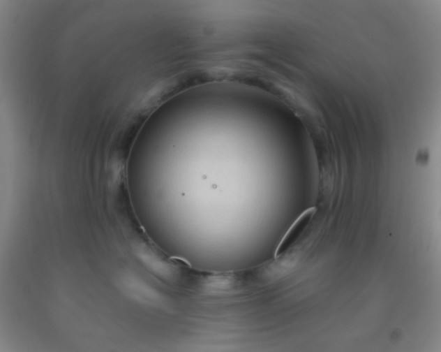 X0000092020574200709201554