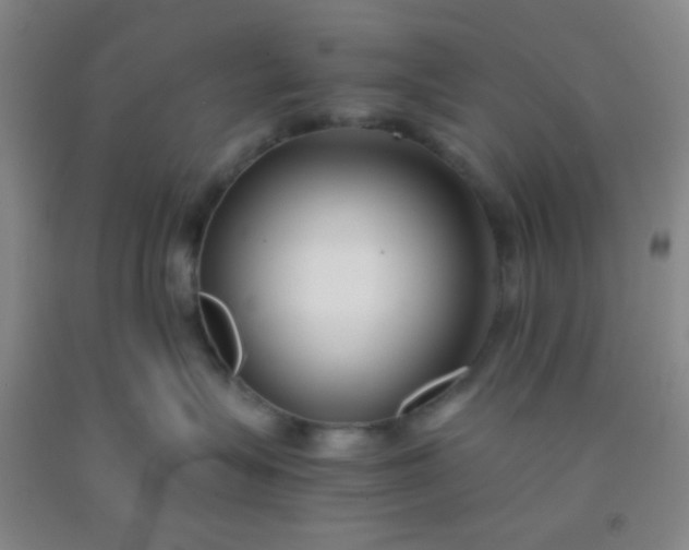 X0000092020575200709201554