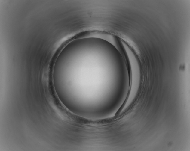 X0000092020580200709201553