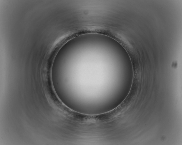 X0000092020587200709201553