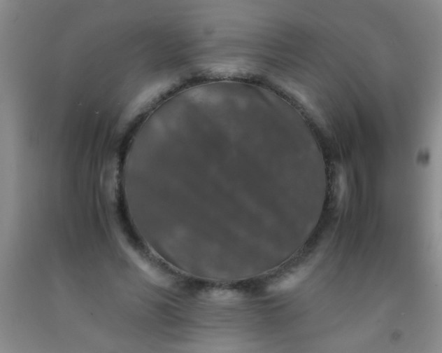 X0000092020590200709201553