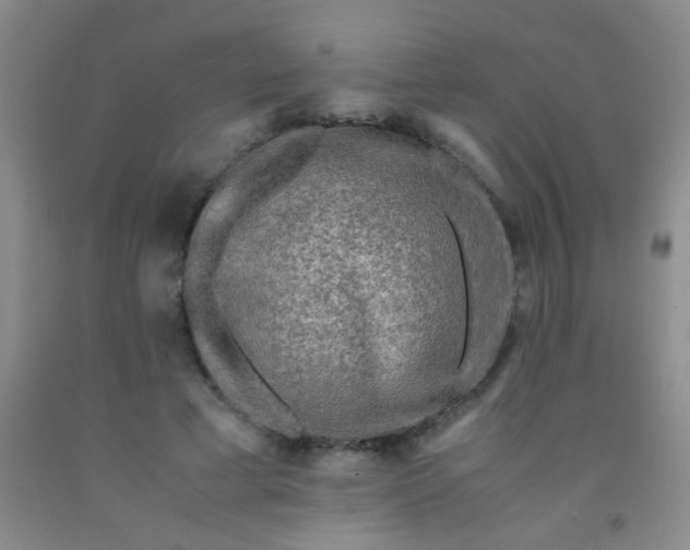 X0000092020593200709201553