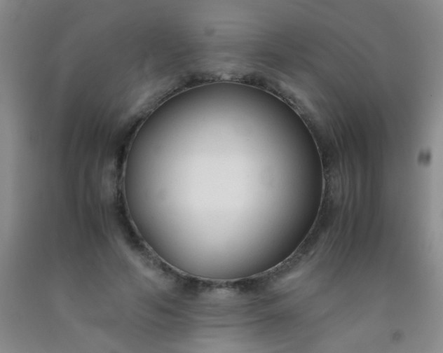 X0000092020594200709201553