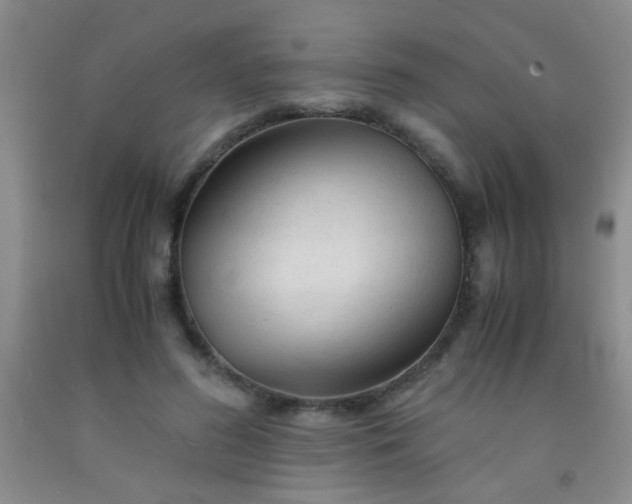 X0000092020596200709201553