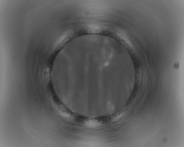 X0000092020598200709201553