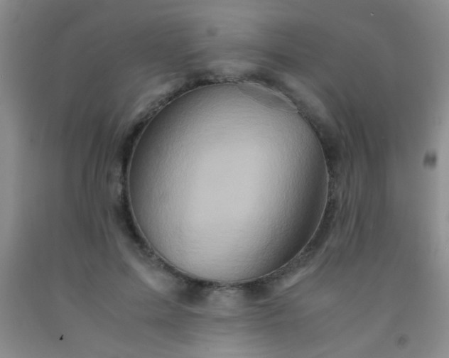 X0000092020599200709201553