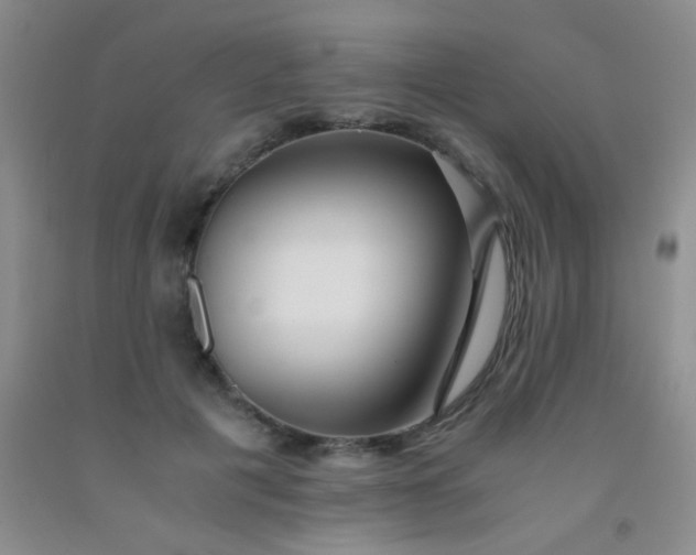 X0000092020601200709201553