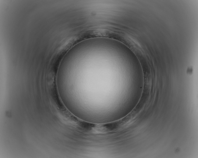 X0000092020603200709201553