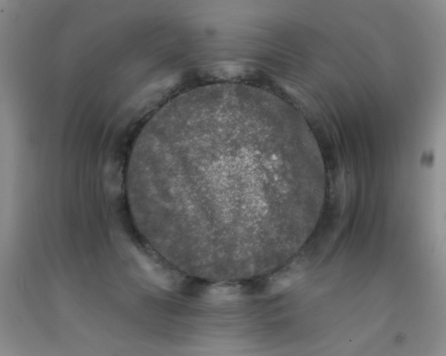 X0000092020606200709201553