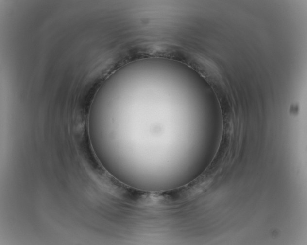 X0000092020607200709201553