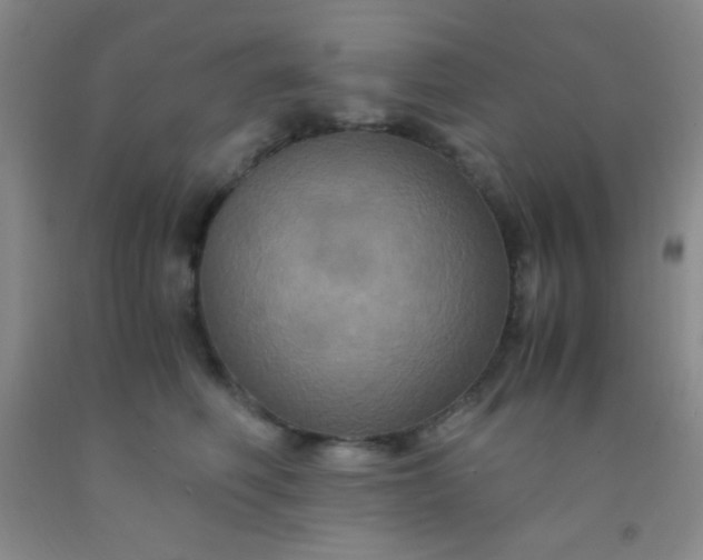 X0000092020614200709201553