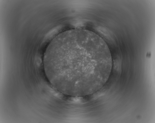 X0000092020618200709201553