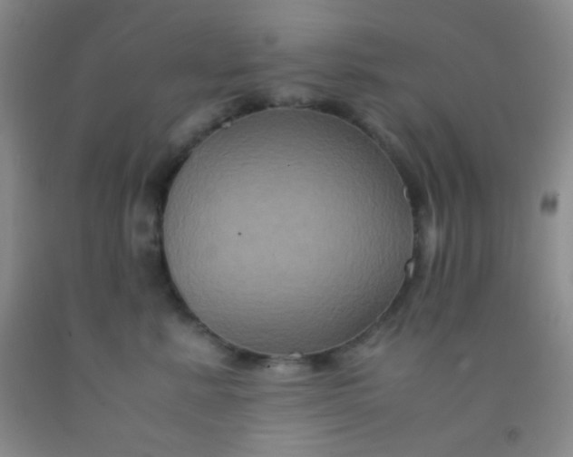 X0000092020619200709201553