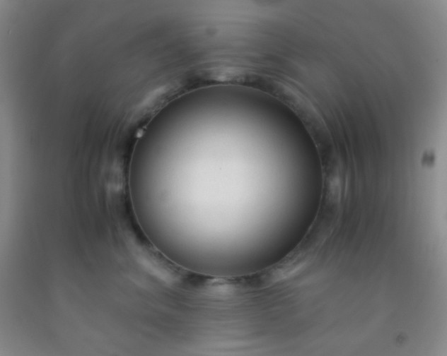 X0000092020620200709201553