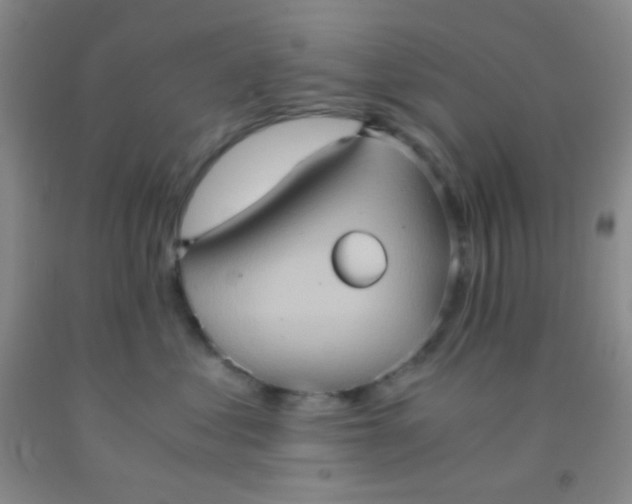 X0000092020621200709201553