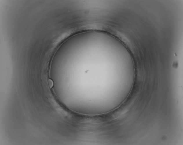 X0000092020625200709201552