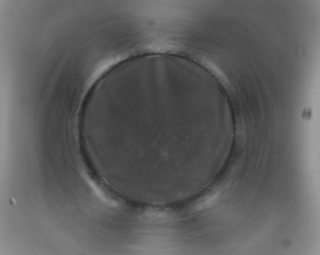 X0000092020626200709201552