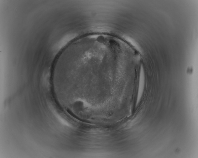 X0000092020627200709201552