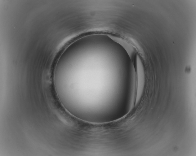 X0000092020628200709201552