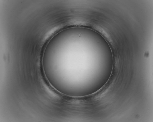 X0000092020629200709201552