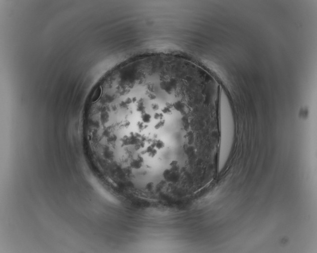 X0000092020630200709201552