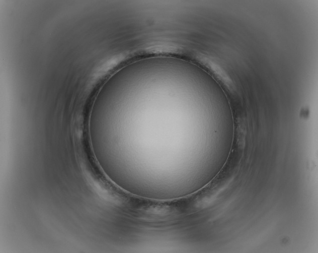 X0000092020631200709201552