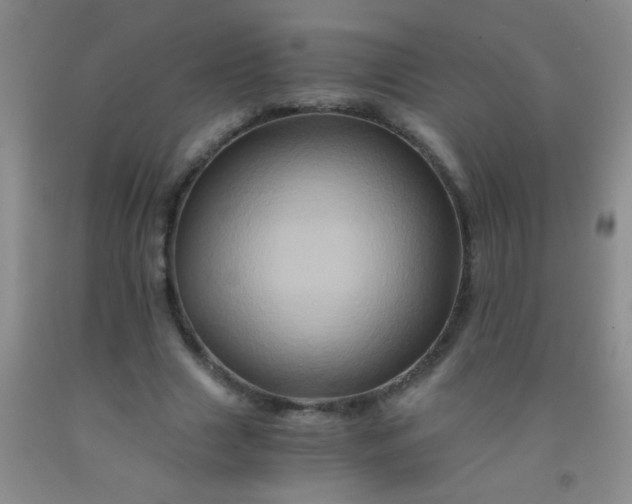 X0000092020633200709201552