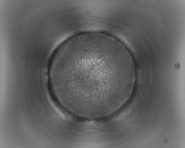 X0000092020634200709201552