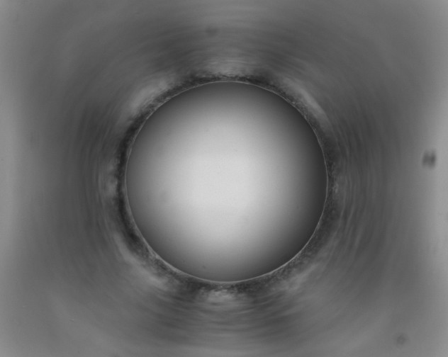 X0000092020635200709201552