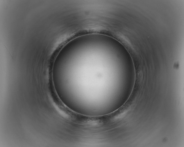 X0000092020638200709201552