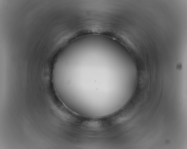 X0000092020639200709201552