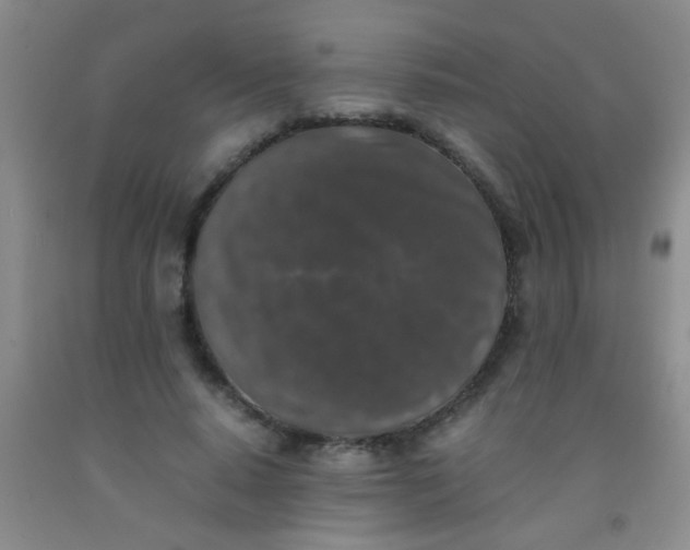 X0000092020640200709201552