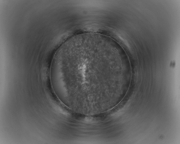 X0000092020641200709201552