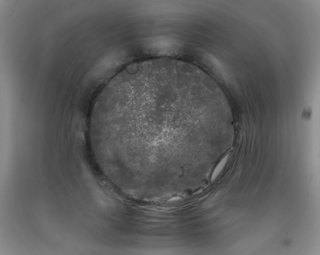 X0000092020643200709201552