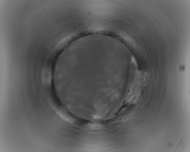 X0000092020644200709201552