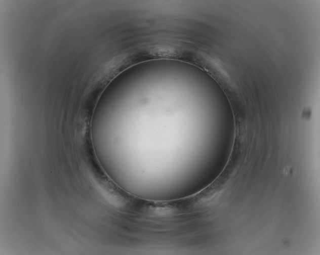 X0000092020645200709201552