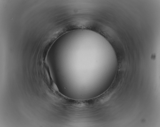 X0000092020646200709201552