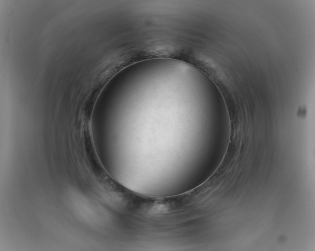 X0000092020647200709201552