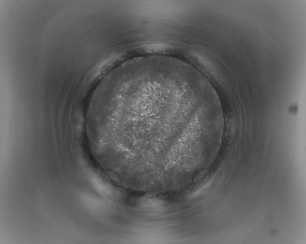 X0000092020648200709201552