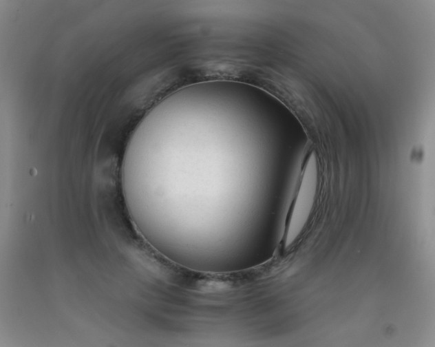 X0000092020649200709201552