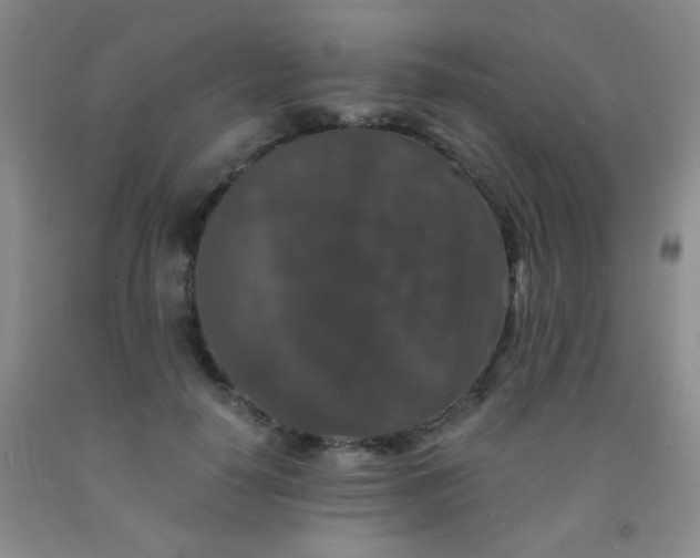 X0000092020650200709201552