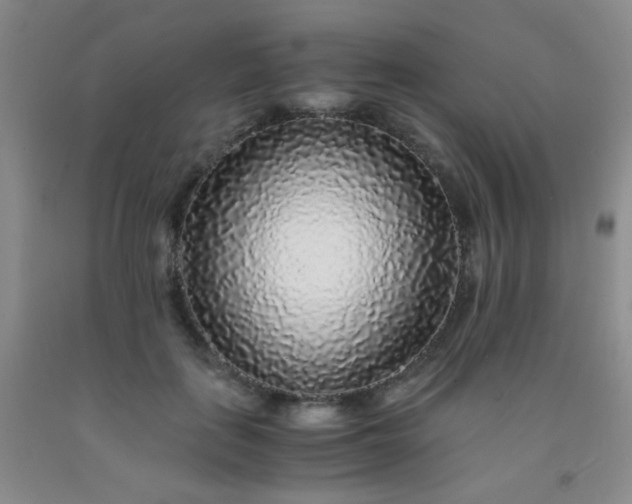 X0000092020651200709201552