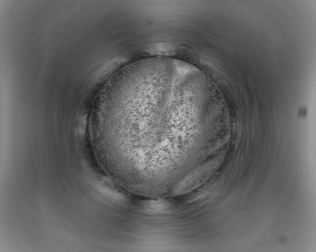 X0000092020652200709201552