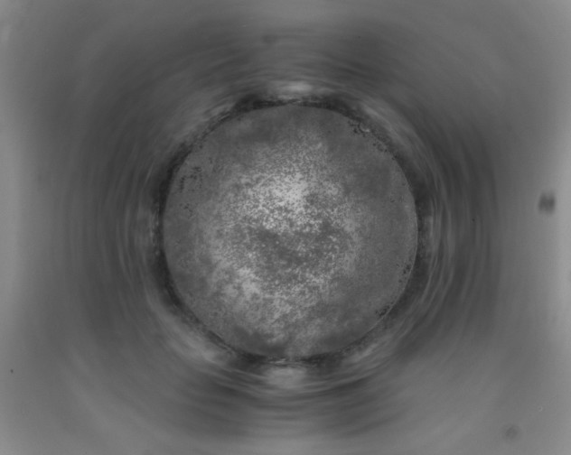 X0000092020653200709201552