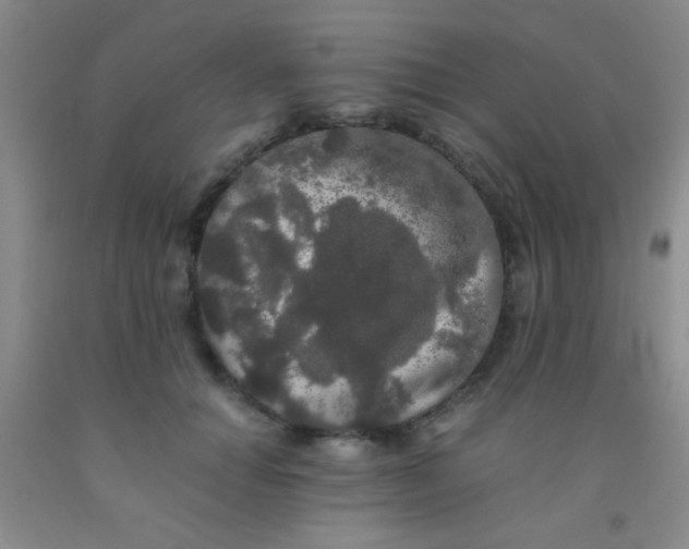 X0000092020654200709201552