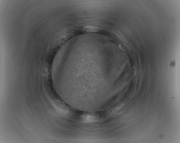 X0000092020655200709201552