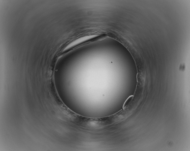 X0000092020657200709201552