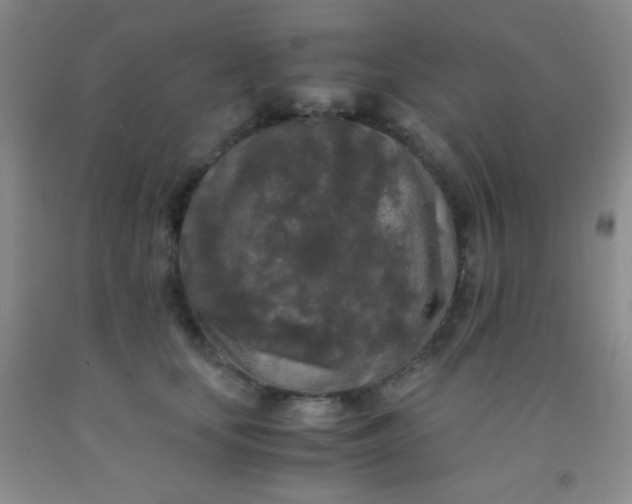 X0000092020659200709201552