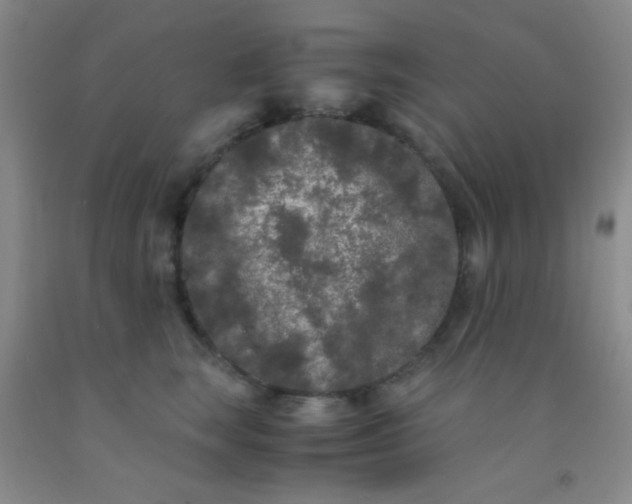 X0000092020663200709201553