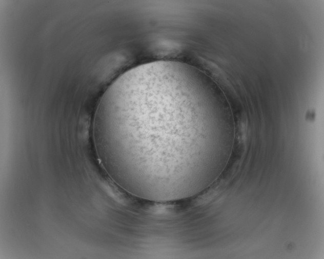 X0000092020664200709201553